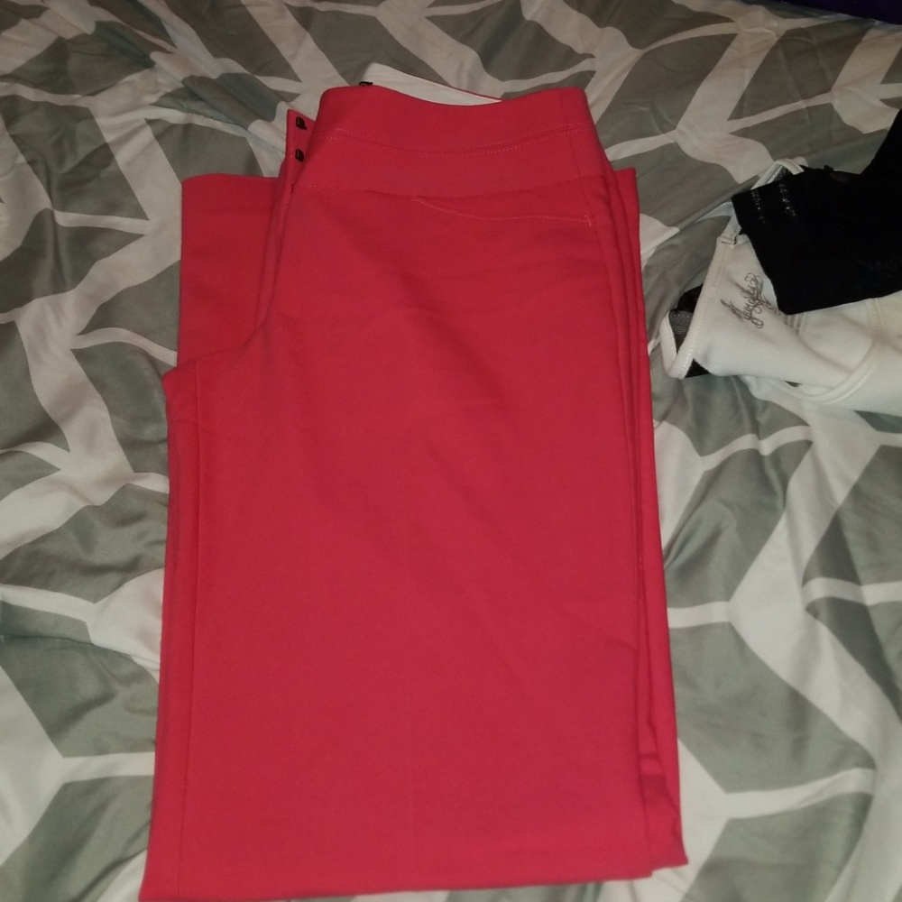 Editor Dress Pants